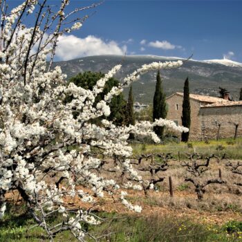 Mont Ventoux in spring